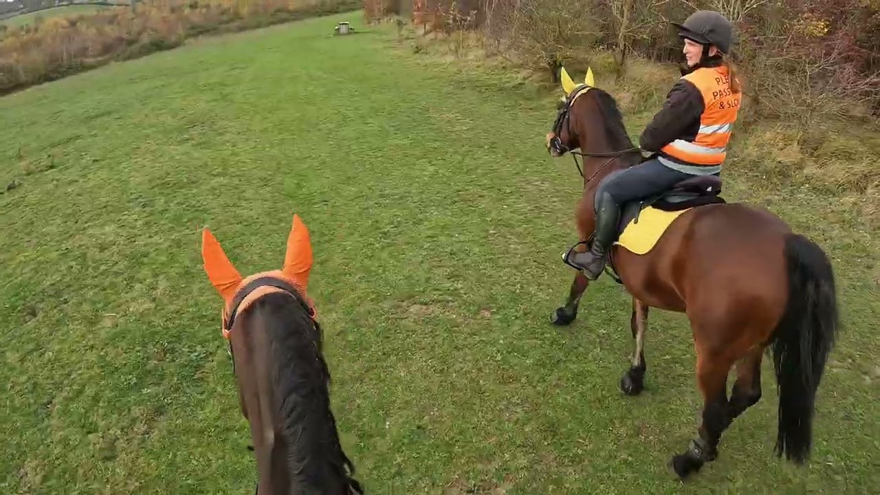 Sunday 9th November 2025 Hacking 
