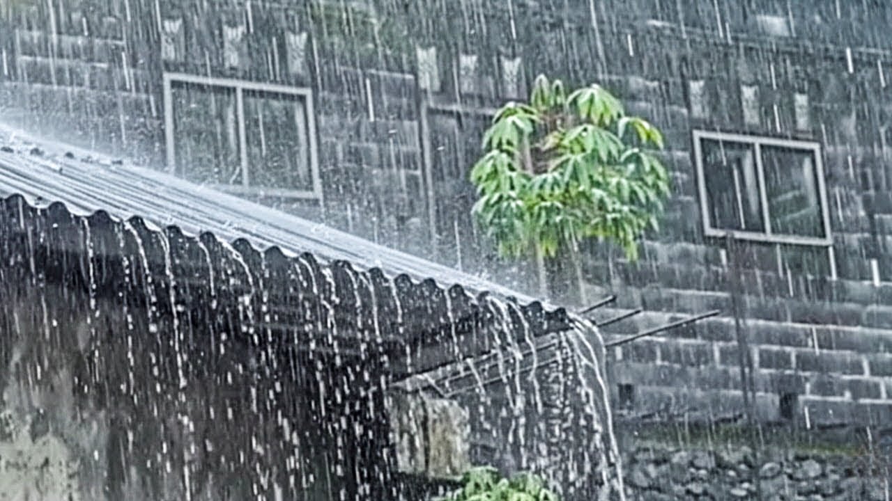 Fall Asleep Instantly With The Biggest Rainstorm And Powerful Lightning ll Sounds For Sleep