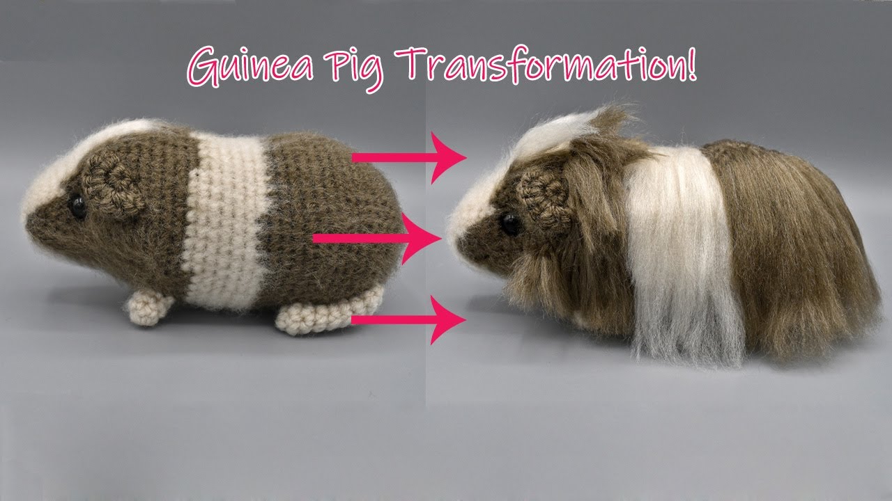 Adding Long Hair to Theo the Guinea Pig (Time-Lapse)