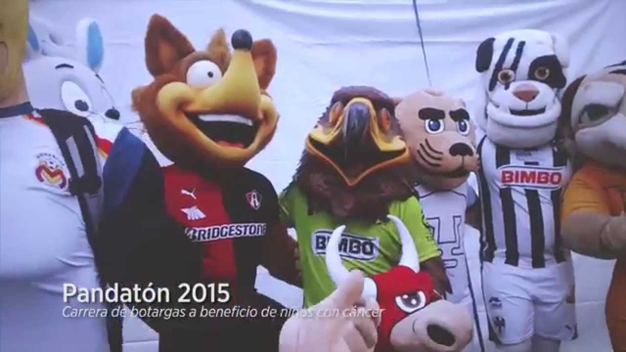 Pandatón 2015 - Carrera de Botargas