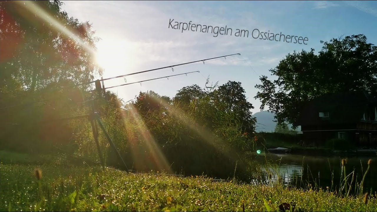 Karpfenangeln am Ossiachersee (Short Overnighter)