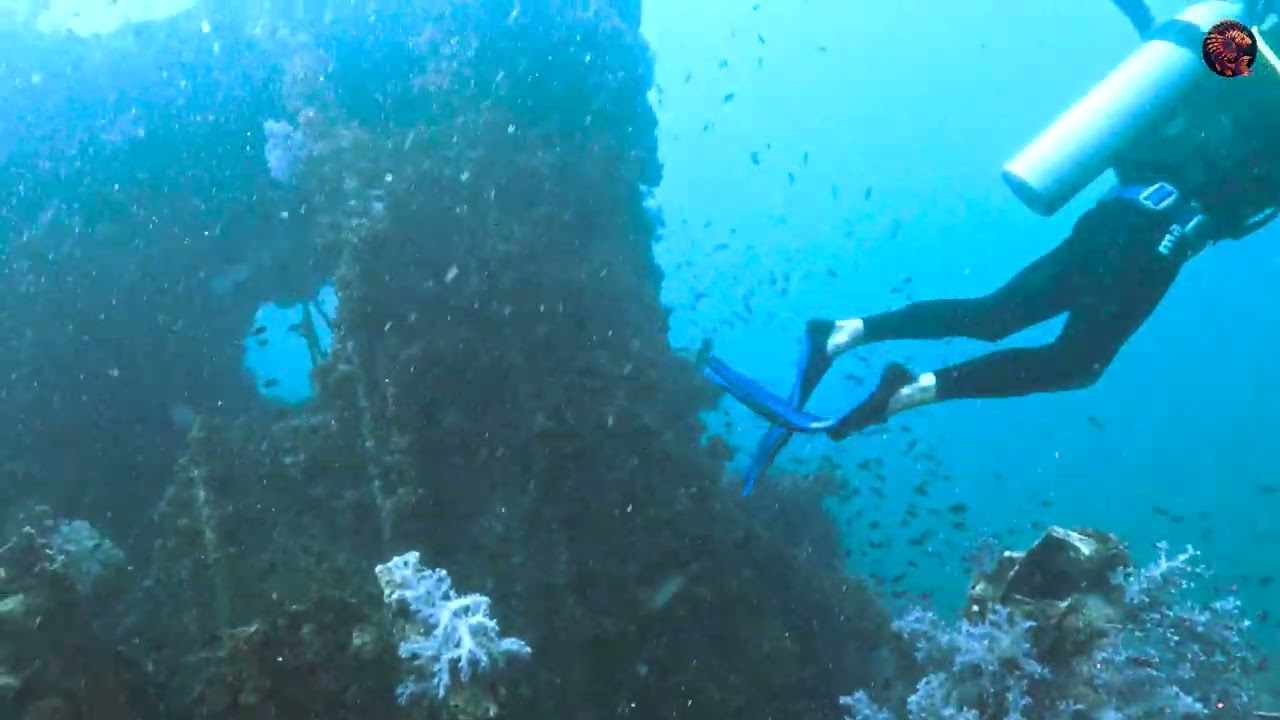 INSIDE the King Cruiser Shipwreck! | 27 Years Underwater | Phuket Thailand Scuba Diving