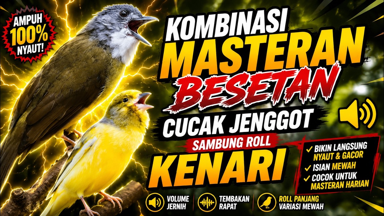 Masteran Kenari & Cucak Jenggot Paling Dicari 2026 | Cepat Masuk Ngerol Panjang #masteranmuraibatu