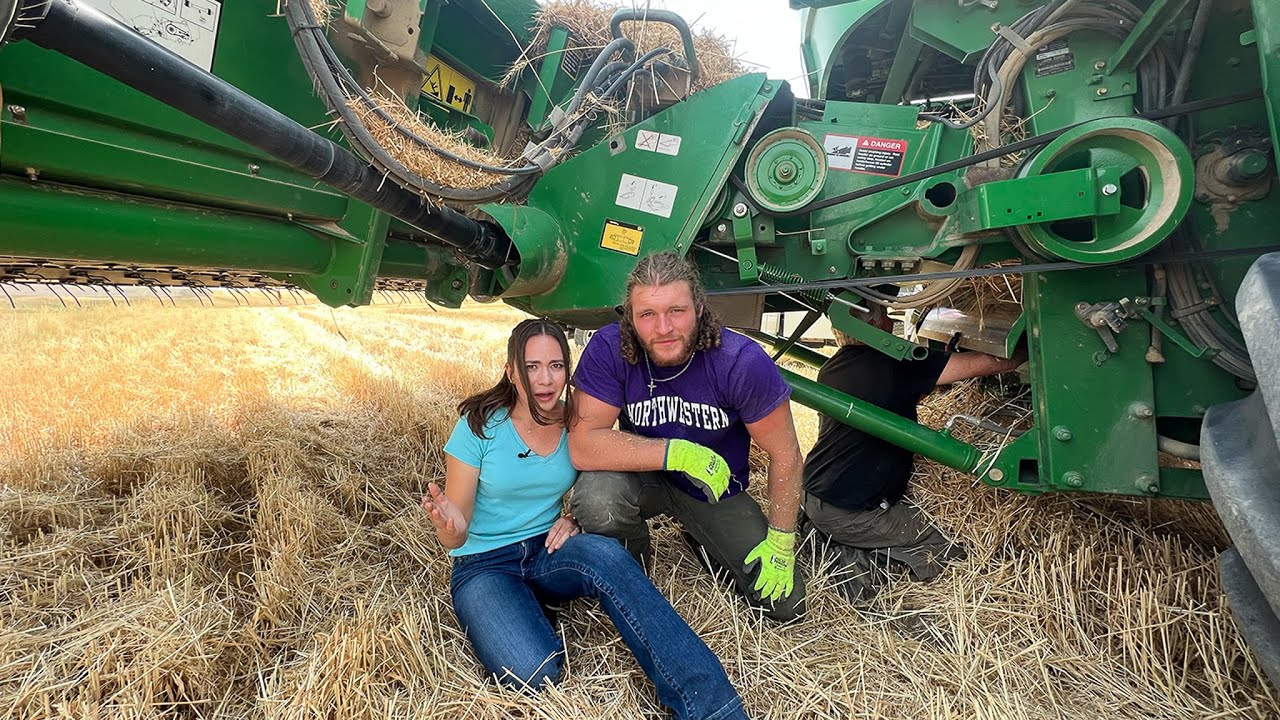 Unplugging the Combine: Wheat Harvest Challenges in Montana