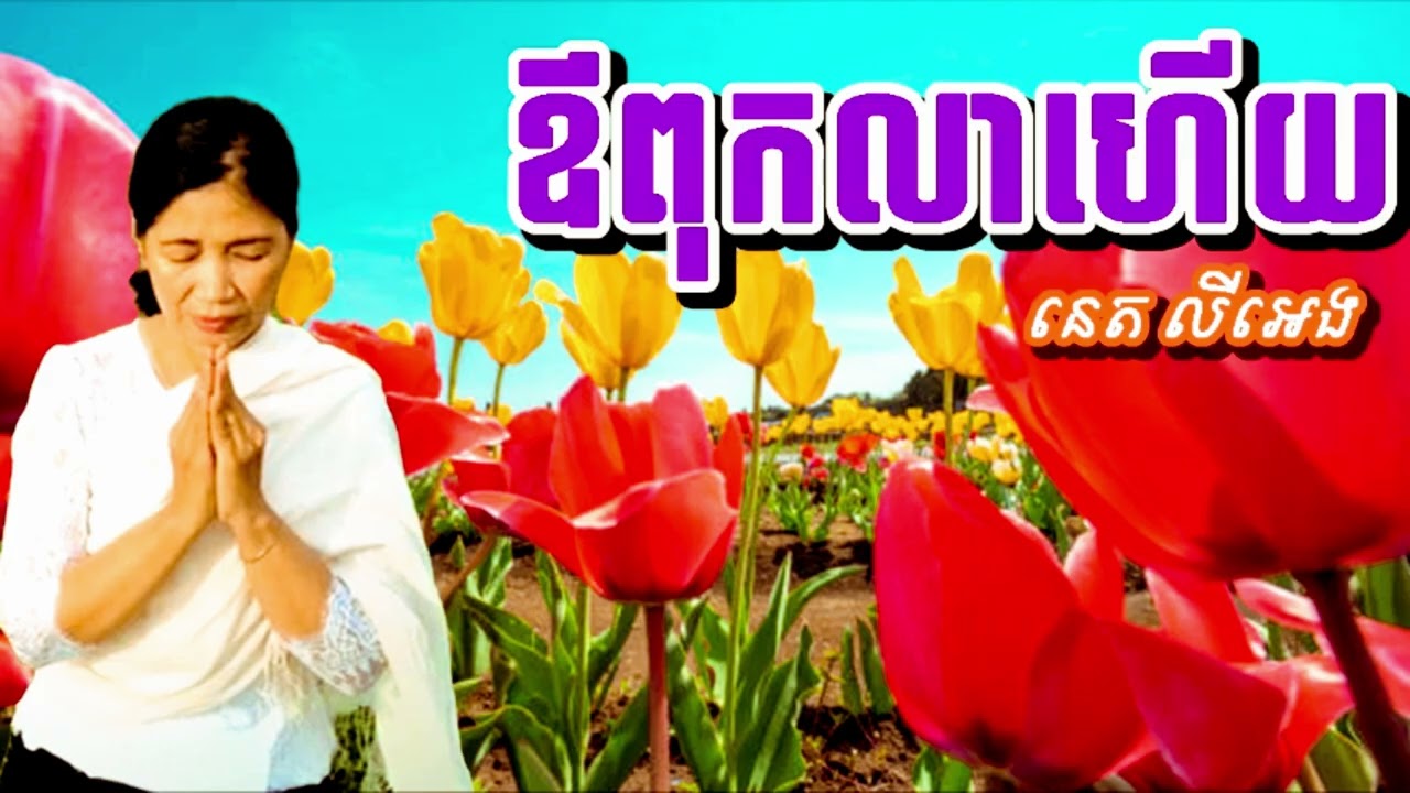 បទ: ពុកលាហើយ ពីរោះណាស់ នេត លីអេង