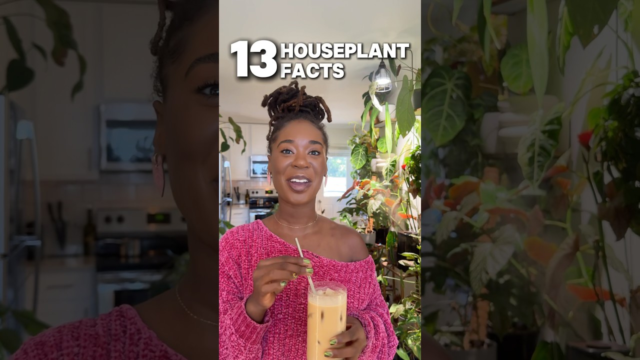 13 Houseplant facts that I bet you did not know! 🪴🧠📖&mdash;&mdash;- #PlantMom #PlantFacts #PlantLover