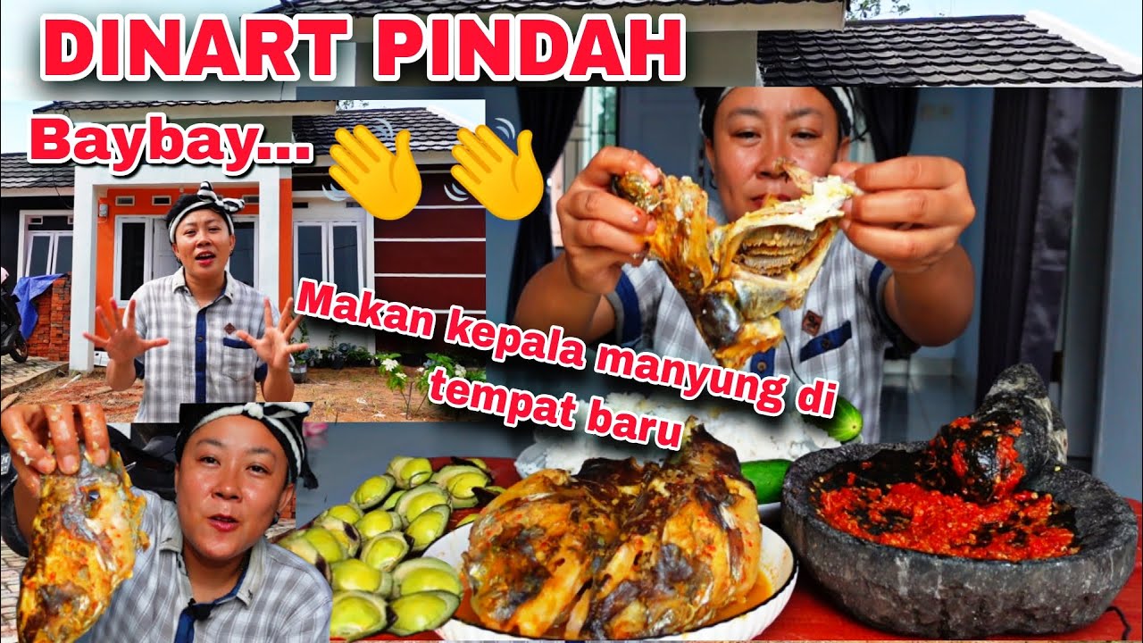 DINART PINDAH BYE BYE 👋 MAKAN KEPALA IKAN MANYUNG DITEMPAT BARU