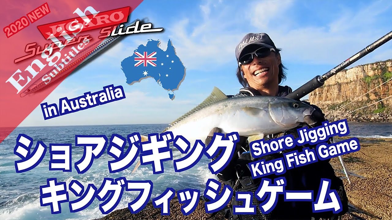 Kingfish on the Rock shore in Australia.