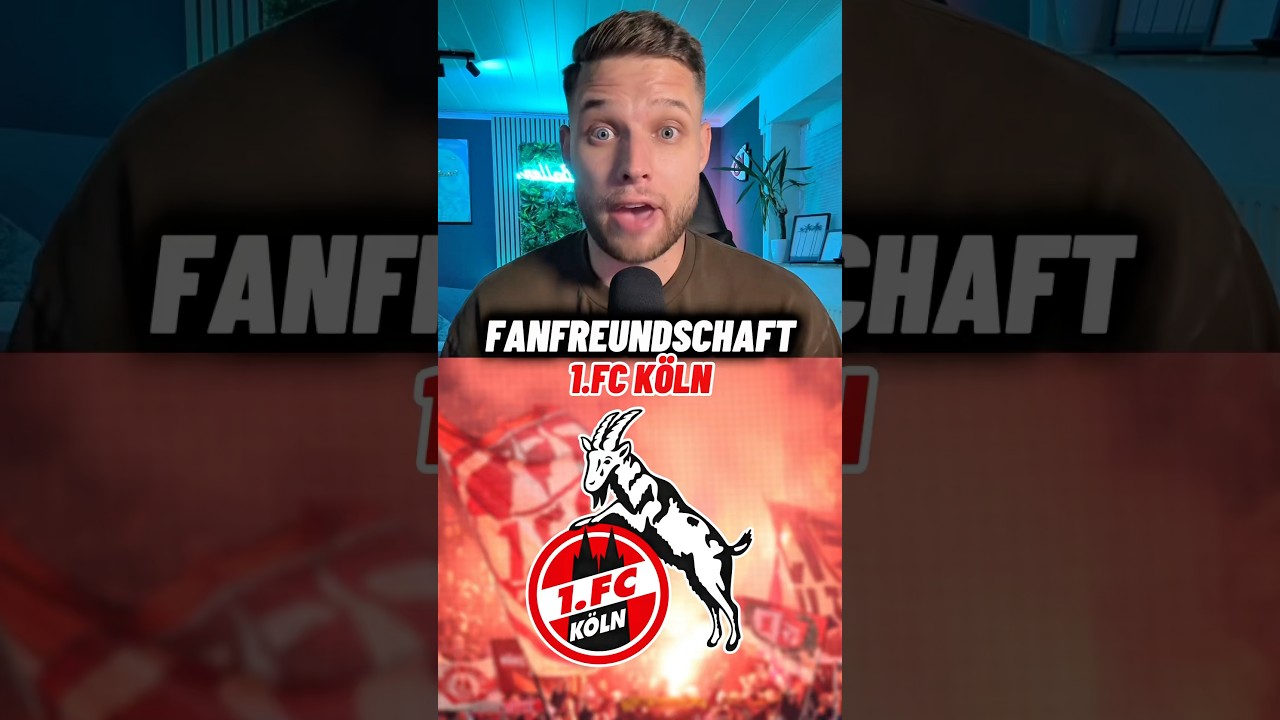 FANFREUNDSCHAFT 1.FCK&Ouml;LN! 🔥 #fck&ouml;ln #bundesliga #fanfreundschaft #fussball #bvb
