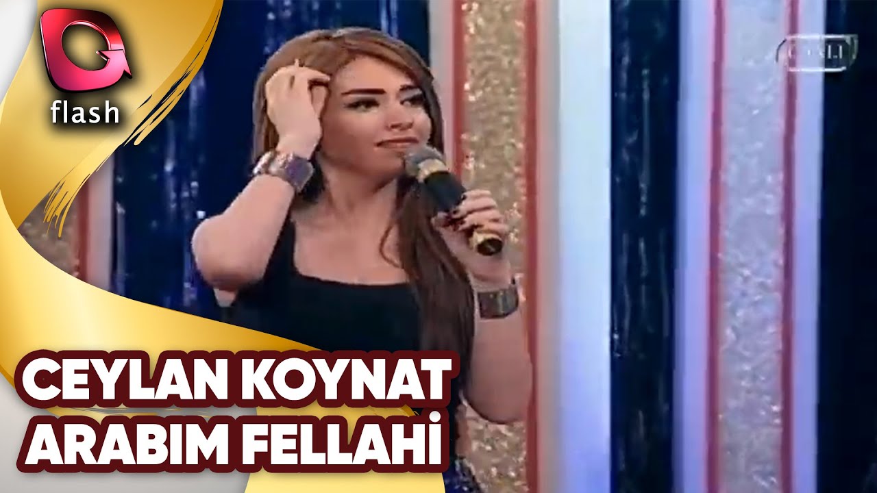 CEYLAN KOYNAT - ARABIM FELLAHİ | Canlı Performans  2.12.2014