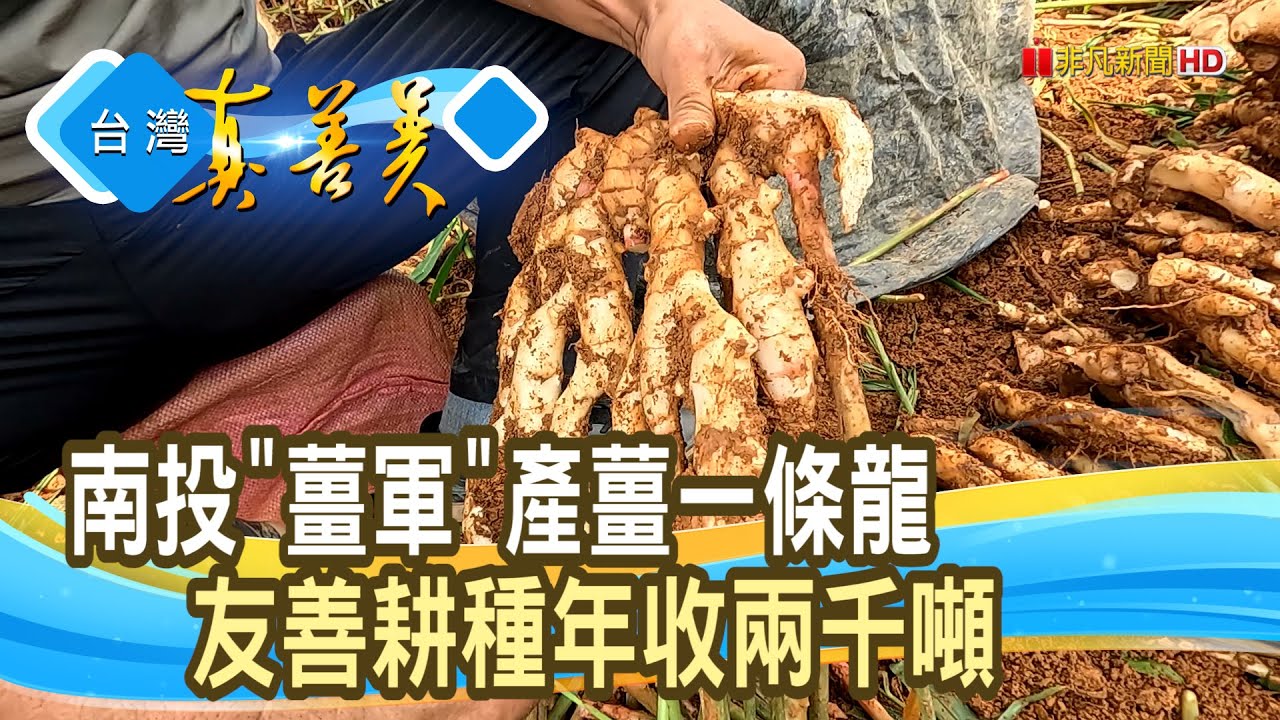 “薑軍大王”扭轉“薑局”｜頂發薑先生｜【台灣真善美】2024.10.27