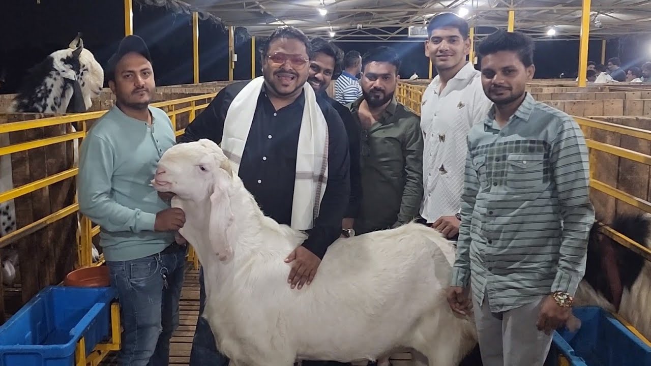 Rehman Mistry Tour Of Hira Goat Farm Panvel | 2nd Anniversary Of Hira Goat Farm.