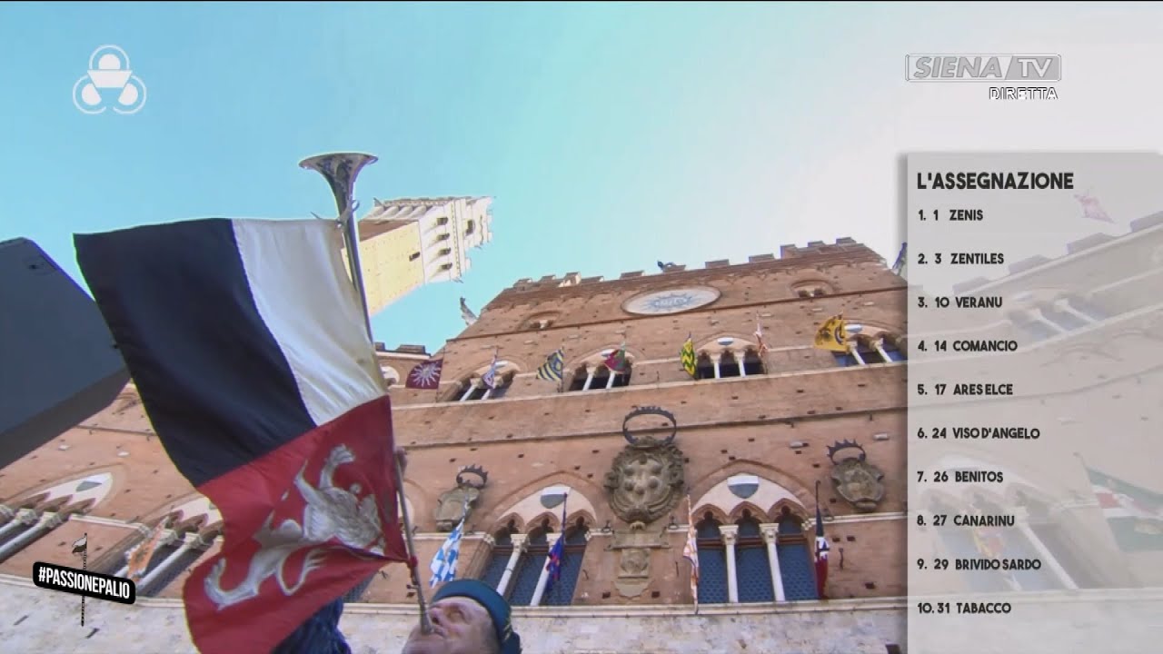 ASSEGNAZIONE DEI CAVALLI ALLE CONTRADE - PALIO DI SIENA AGOSTO 2024