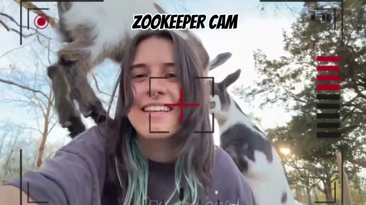 Mondays with Mikey | Zookeeper cam with foxes, goats, tortoises, parrots and more at SWC