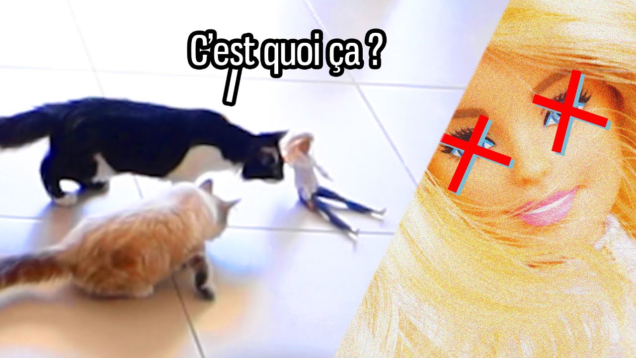 Making of de la vidéo Barbie ( c'était terrible ) | #9