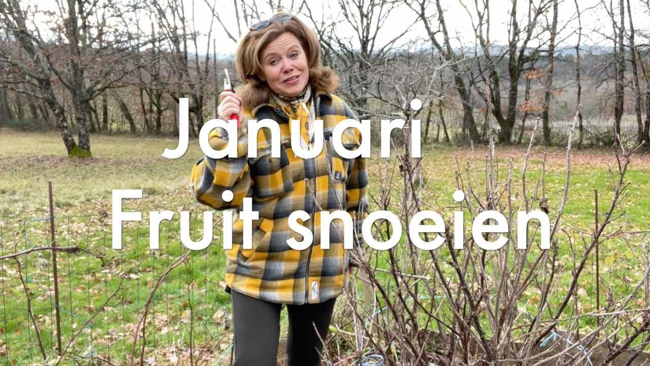 Ini's Moestuin #83 - In januari fruit snoeien. Zoete aardappel opstarten & hoe is het met de wormen?