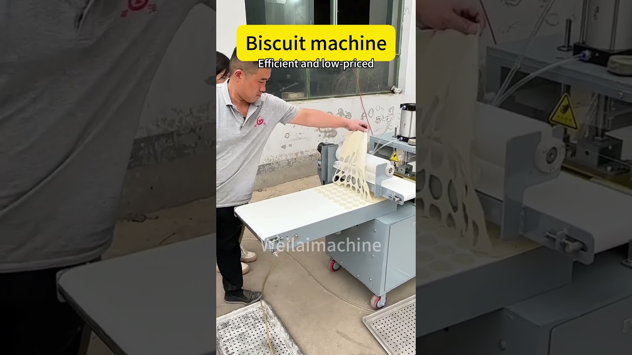 Biscuit machine#foodmachine #machine #factoryproducts #food #doughmachine  #factory #machinerchannel
