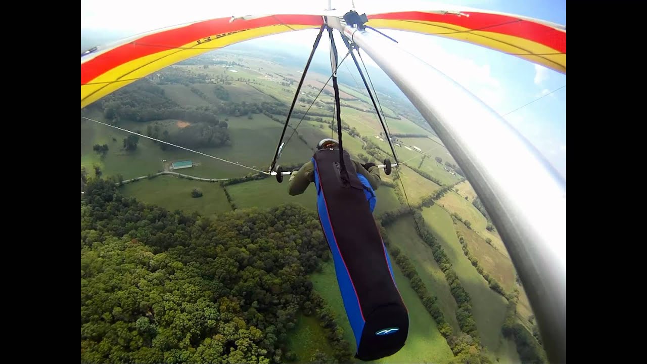 A low Save on the ridge at Henson Gap, Tennessee