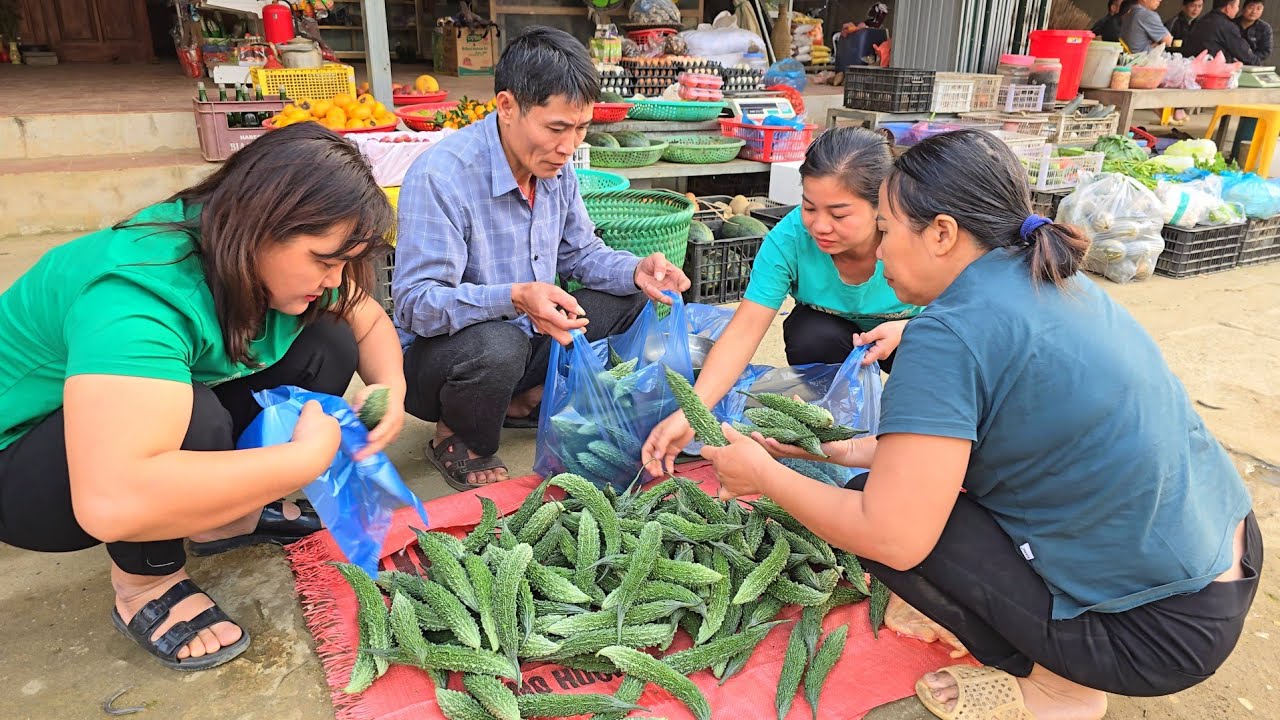Harvesting Bitter Melon Goes To Market Sell - Pet Care | Solo Survival