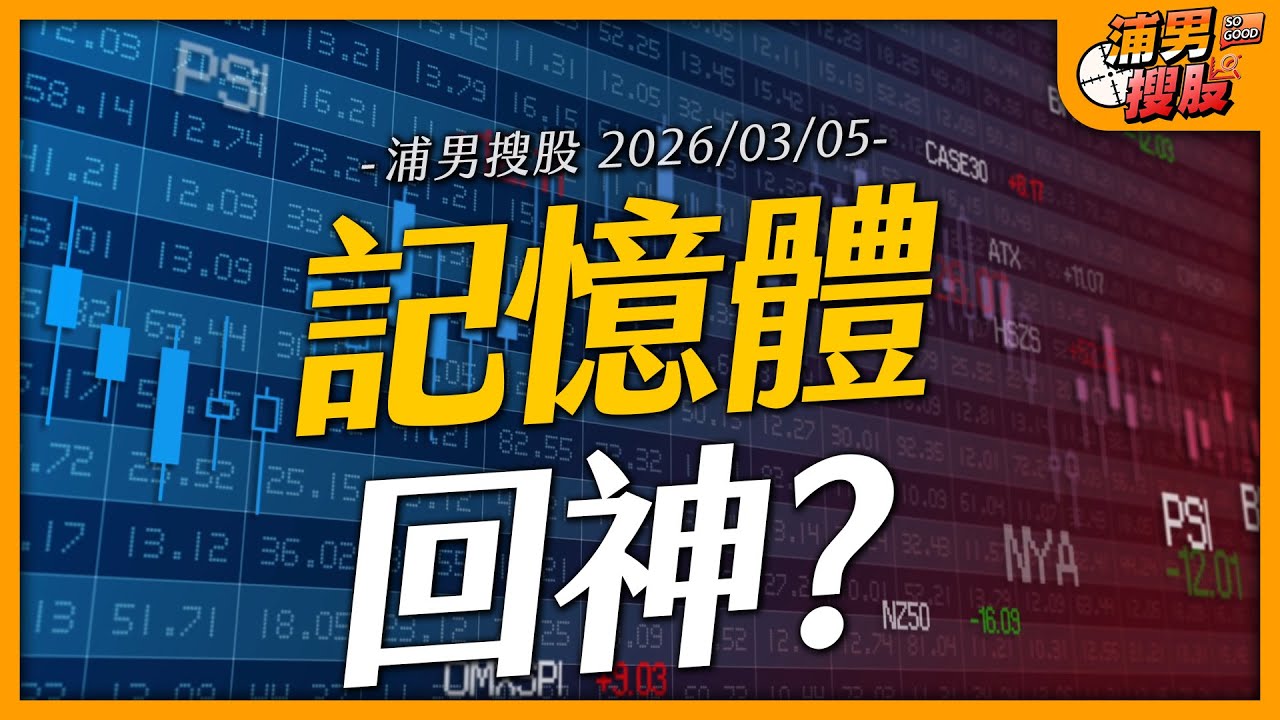 記憶體回神？｜【浦男搜股】EP.251