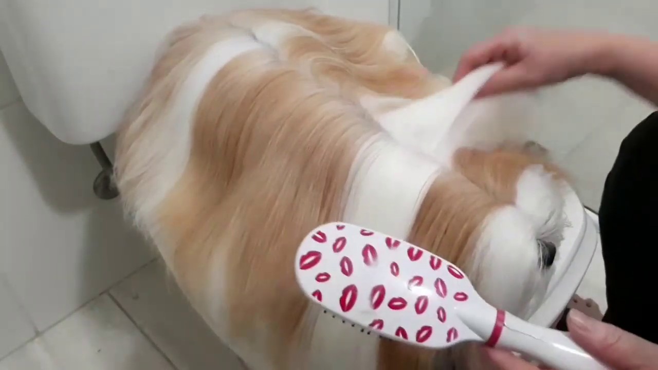 COMO DEIXAR O PELO DO SEU PET BRANQUINHO SEM AMARELADO ! Conheça meu segredinho