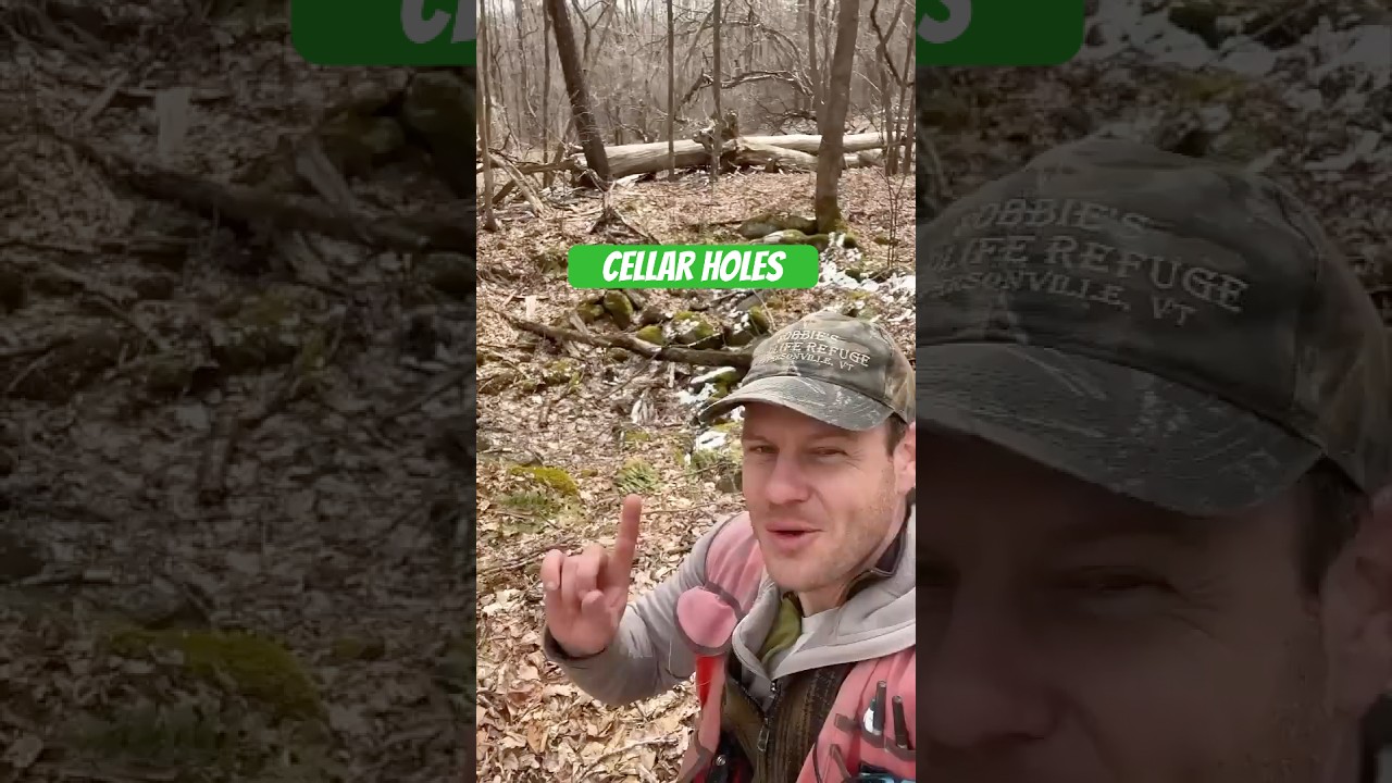 Cellar holes! #forest #nature #history #tree #trees #woods #forester #stem #short #shorts