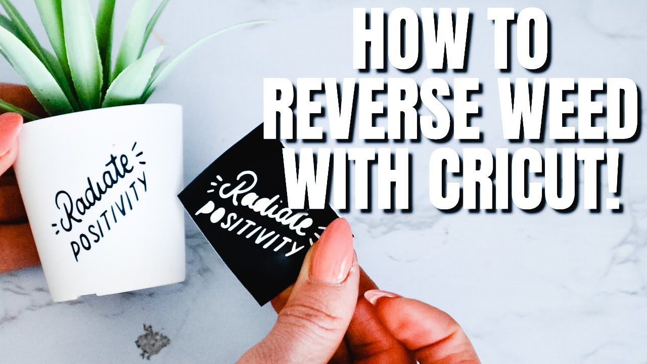 HOW TO REVERSE WEED VINYL WITH CRICUT | SUPER BEGINNER FRIENDLY + EASY!!