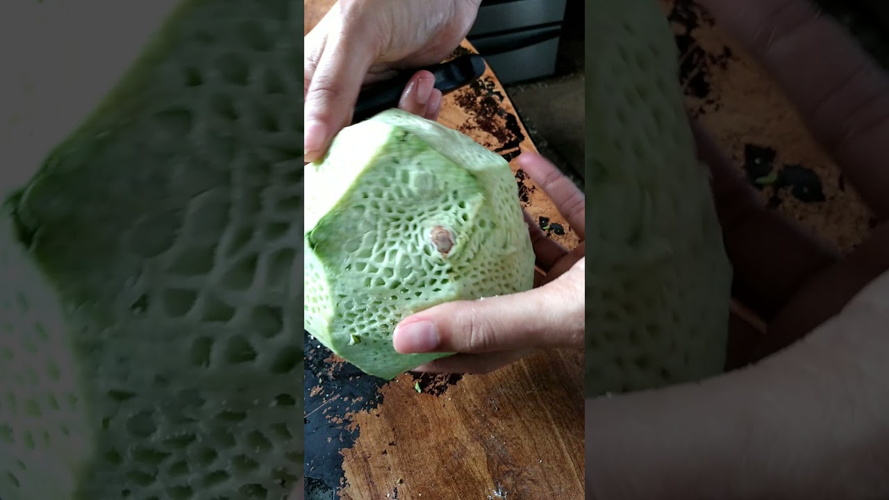 Cleaning a Chataigne