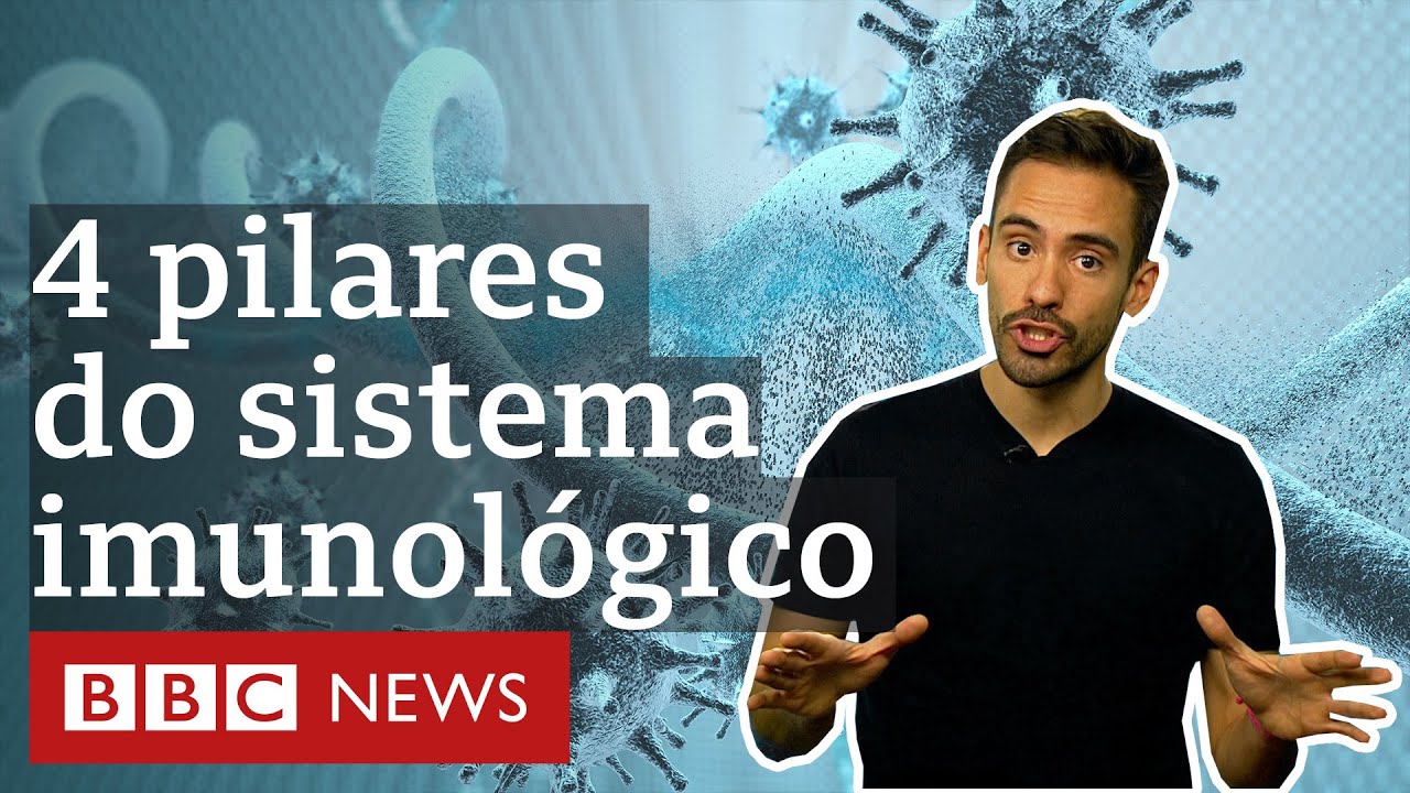 Coronavírus: Como manter fortes os quatro pilares da imunidade