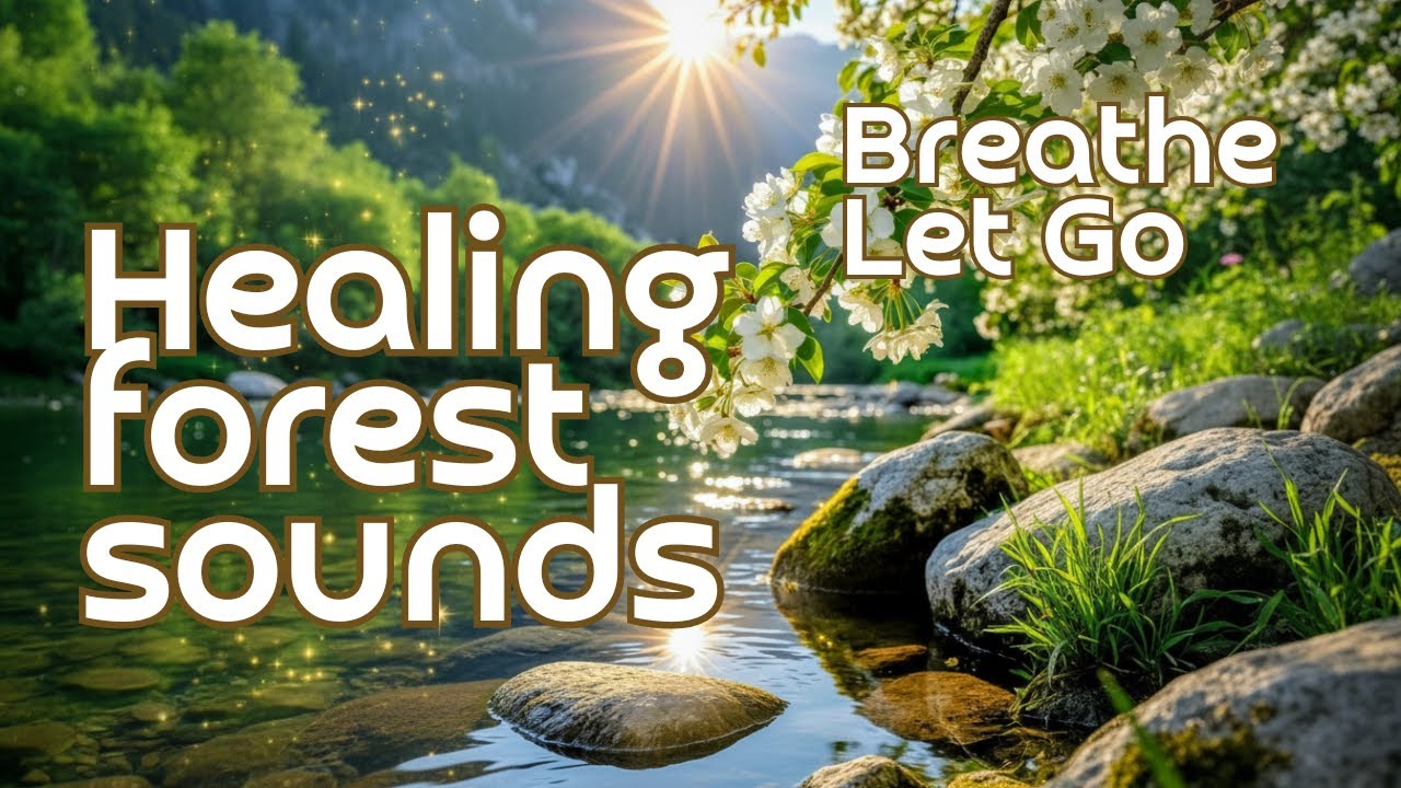 Live. Restore Your Energy. Calm Music and Forest Sounds/ Восстанови свою энергию — музыка леса.