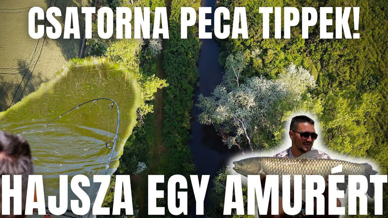 Hajsza egy amur&eacute;rt, amur &eacute;s pontyhorg&aacute;szat a csatorn&aacute;n! #fishing
