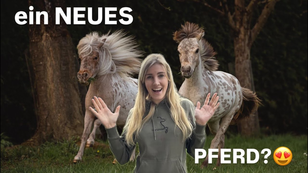 ein NEUES PFERD zieht ein 😳😍 ( Ihr kennt es bereits!)