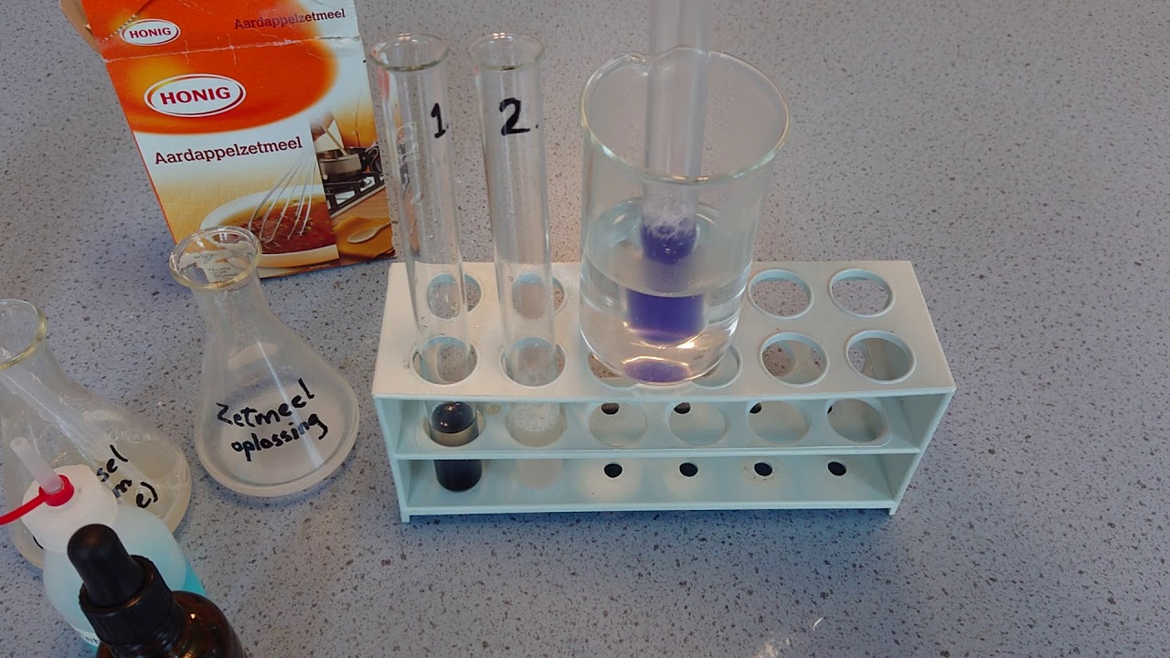 Werking van amylase op zetmeel