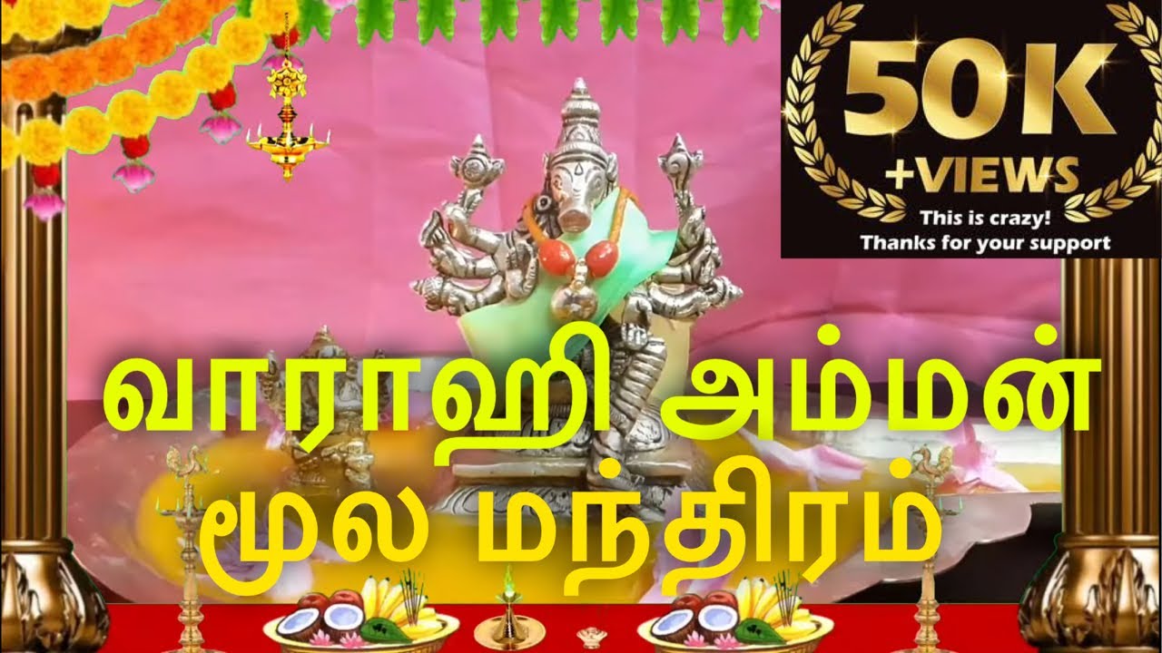 Varahi amman மஹா வராகி வழிபாடு முறை | வாராஹி அம்மன் பாடல்கள் | Varahi amman vazhipadu