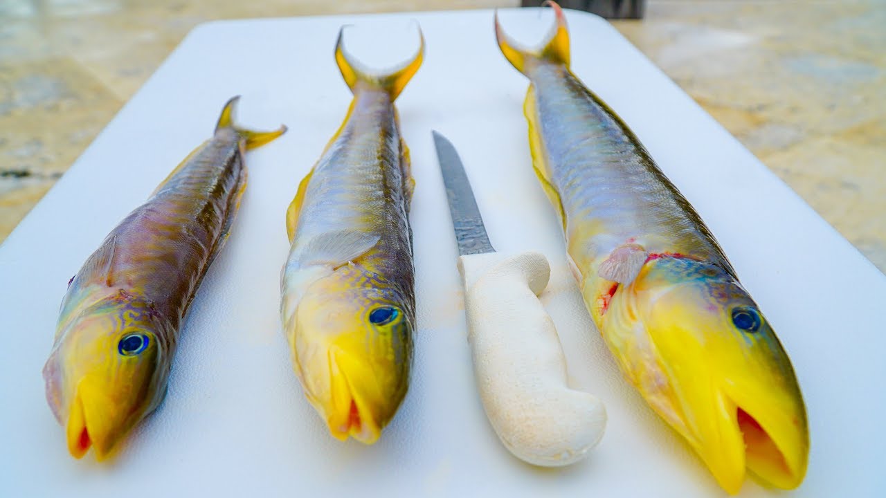 DEEP SEA Sand Tilefish- Catch Clean Cook