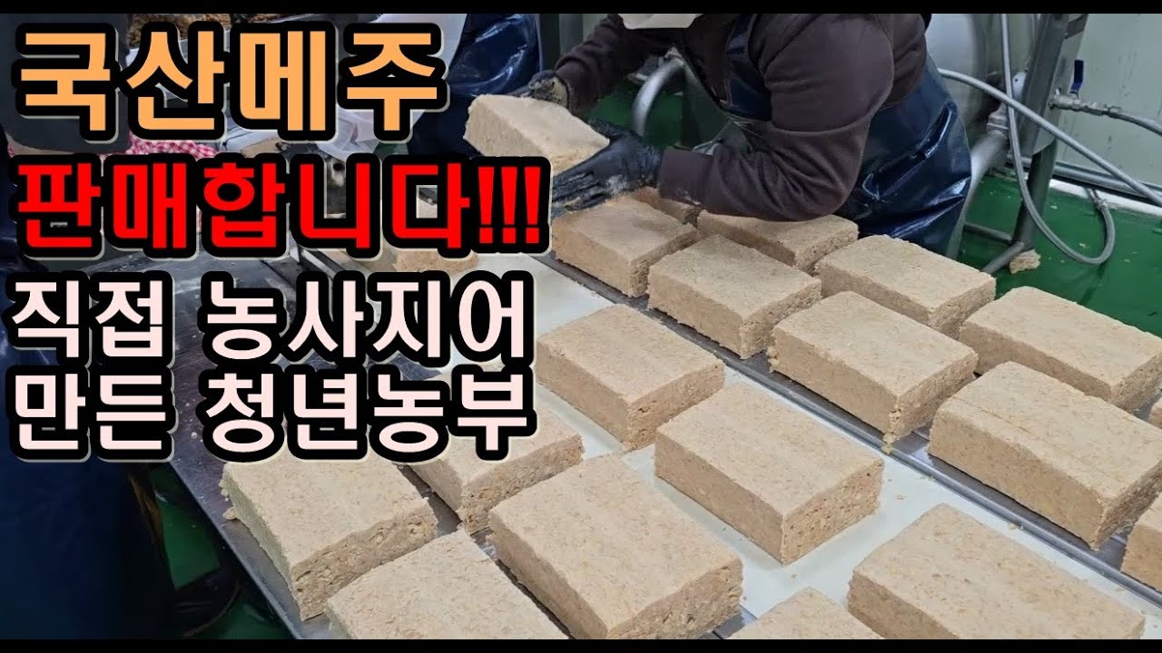 햇콩으로만든 국산메주 판매합니다 국산콩 청년농부