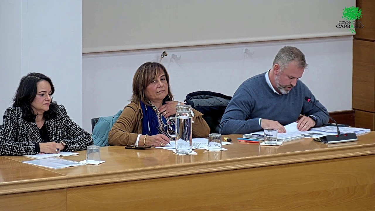 Pleno ordinario do 24 de novembro de 2025