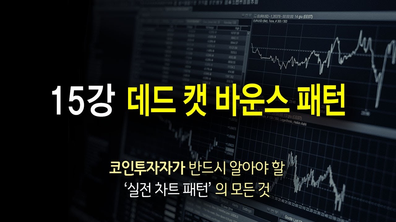 차트패턴 15강 데드캣 바운스 패턴