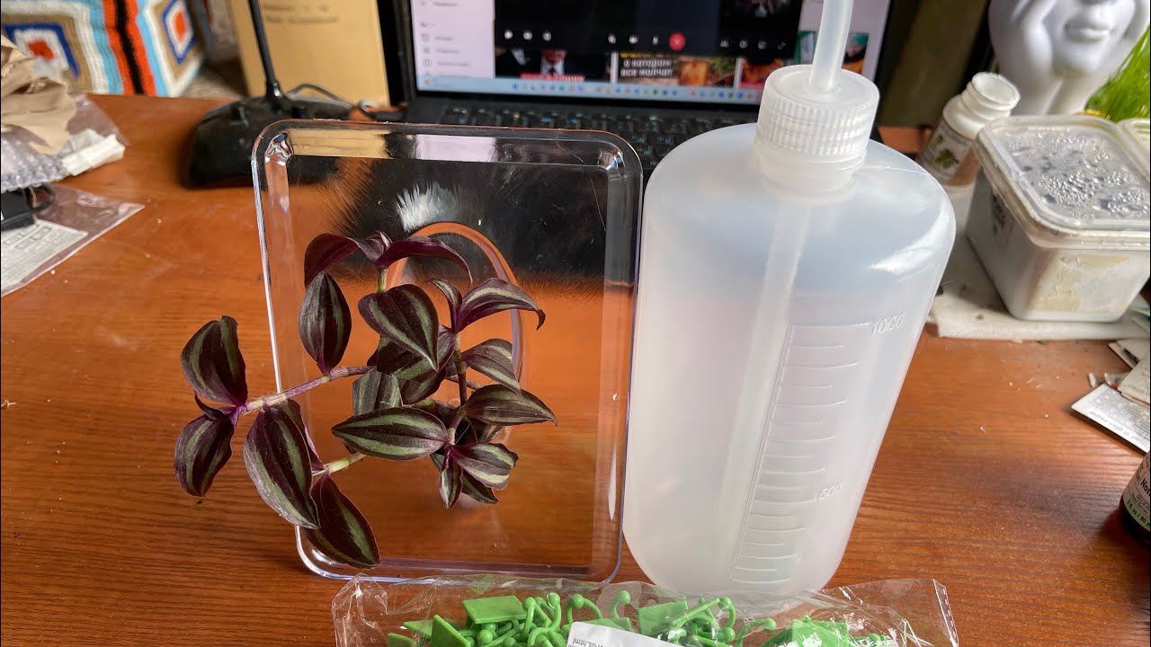 Useful gardening essentials with Temu: simple but essential accessories for your garden. #review