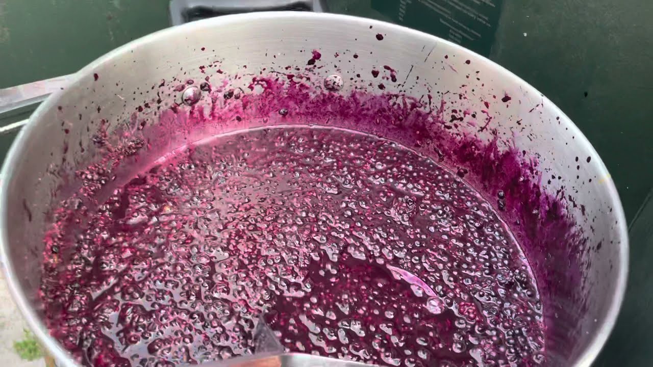 Making elderberry Jelly
