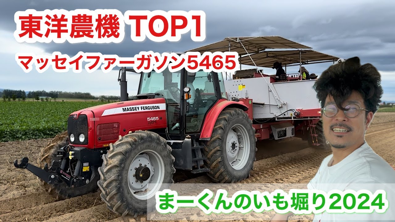 【東洋農機】TOP1でいも収穫【トラクター】MF5465まーくんの芋掘り2024