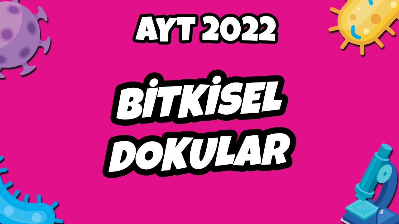AYT Biyoloji - Bitkisel Dokular | AYT Biyoloji 2022 #hedefekoş