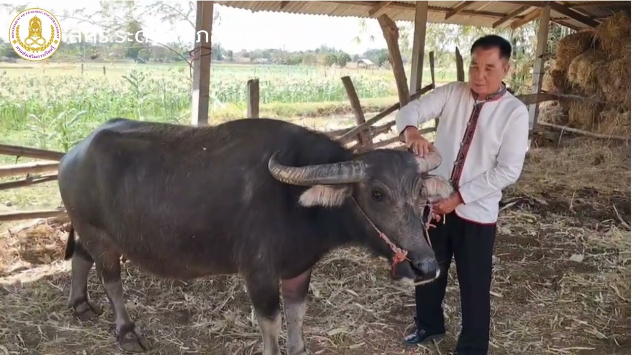 สกร.ระดับอำเภอเขาวง อ้อมกอดแห่งขุนเขา ลมหายใจแห่งการเรียนรู้ สำนึกรักบ้านเกิดสานการเรียนรู้ตลอดชีวิต