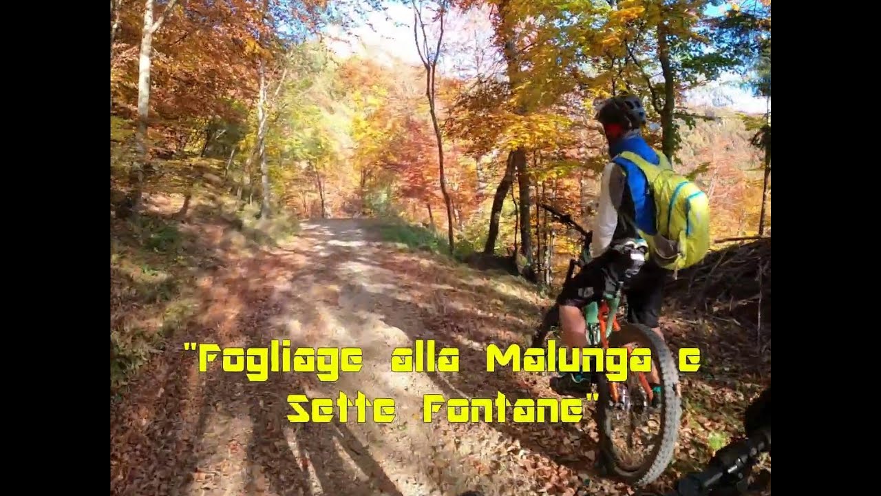 FOGLIAGE Malunga - Sette Fontane
