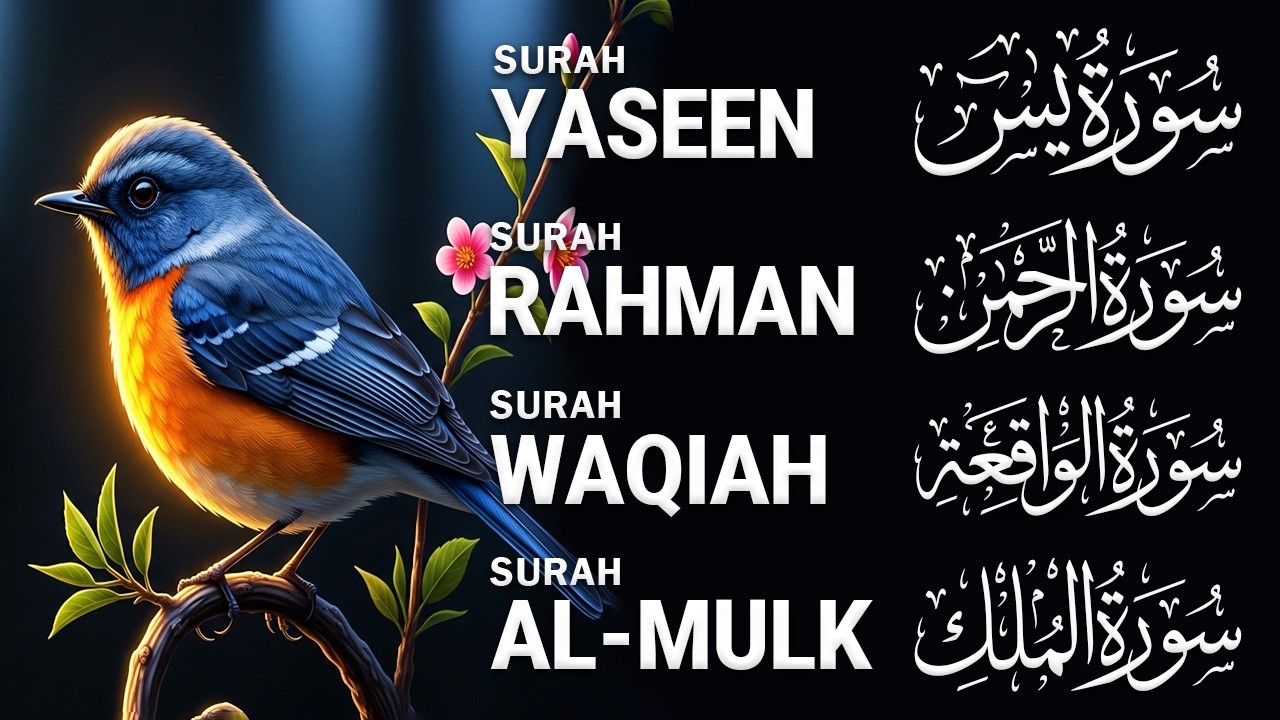 Very Nice Voice Surah Yaseen (Yasin) | Surah Rahman | Surah Waqiah | Surah Mulk | Ep51