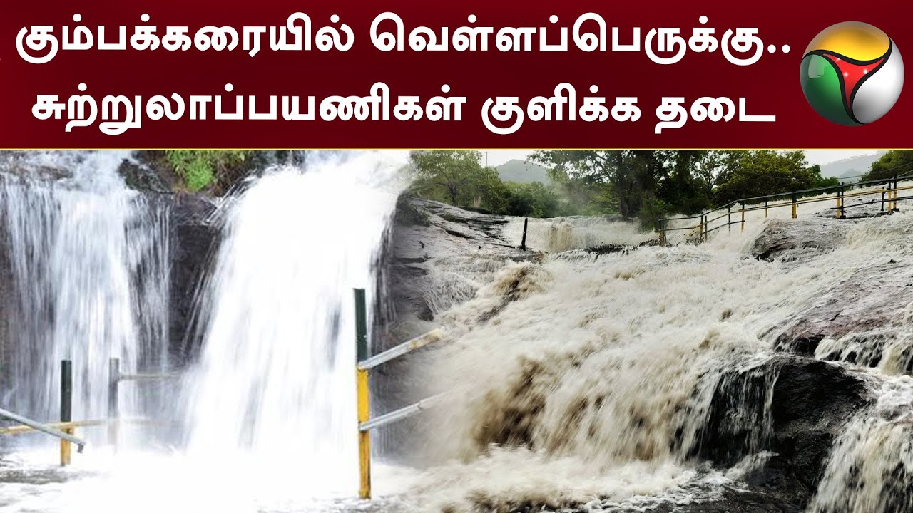கும்பக்கரையில் வெள்ளப்பெருக்கு.. சுற்றுலாப்பயணிகள் குளிக்க தடை | Kumbakkarai Falls | PTT