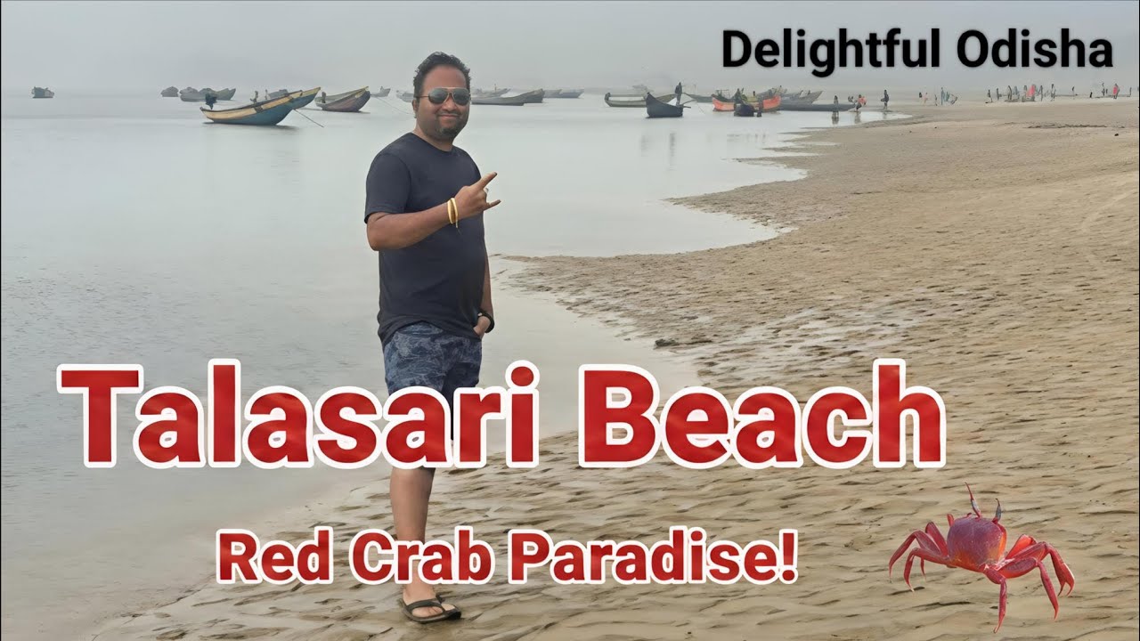 The Red Crab Paradise! 🦀 Exploring Talasari Beach, Odisha | Delightful Odisha 