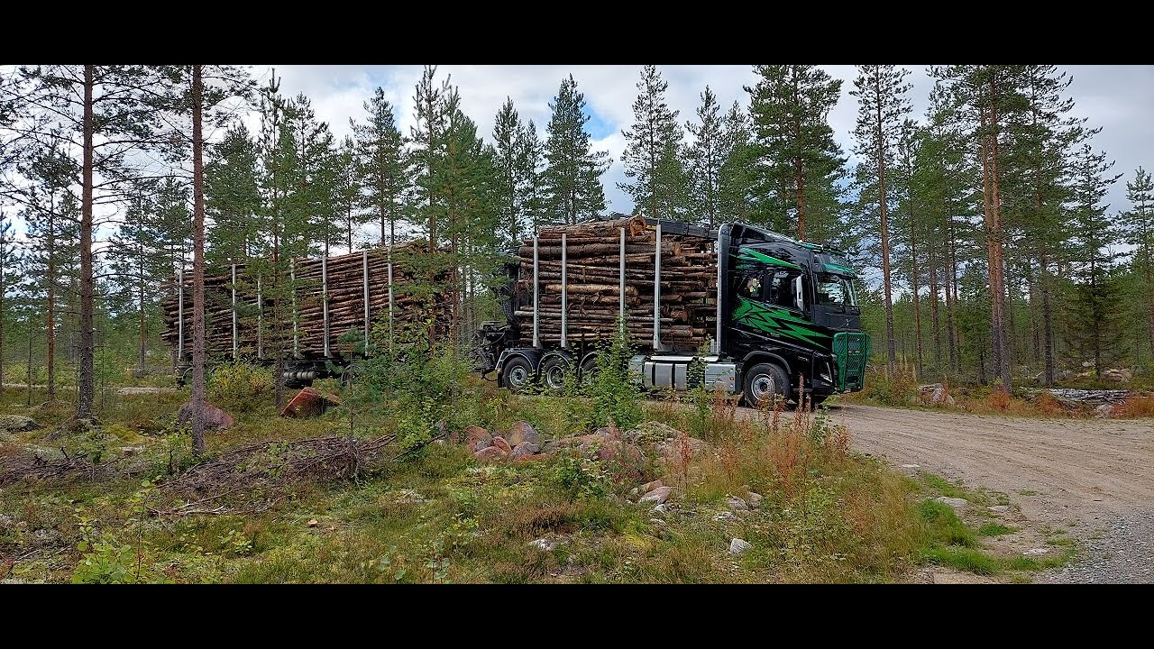 Nuppihommaa ja solkkumuussia