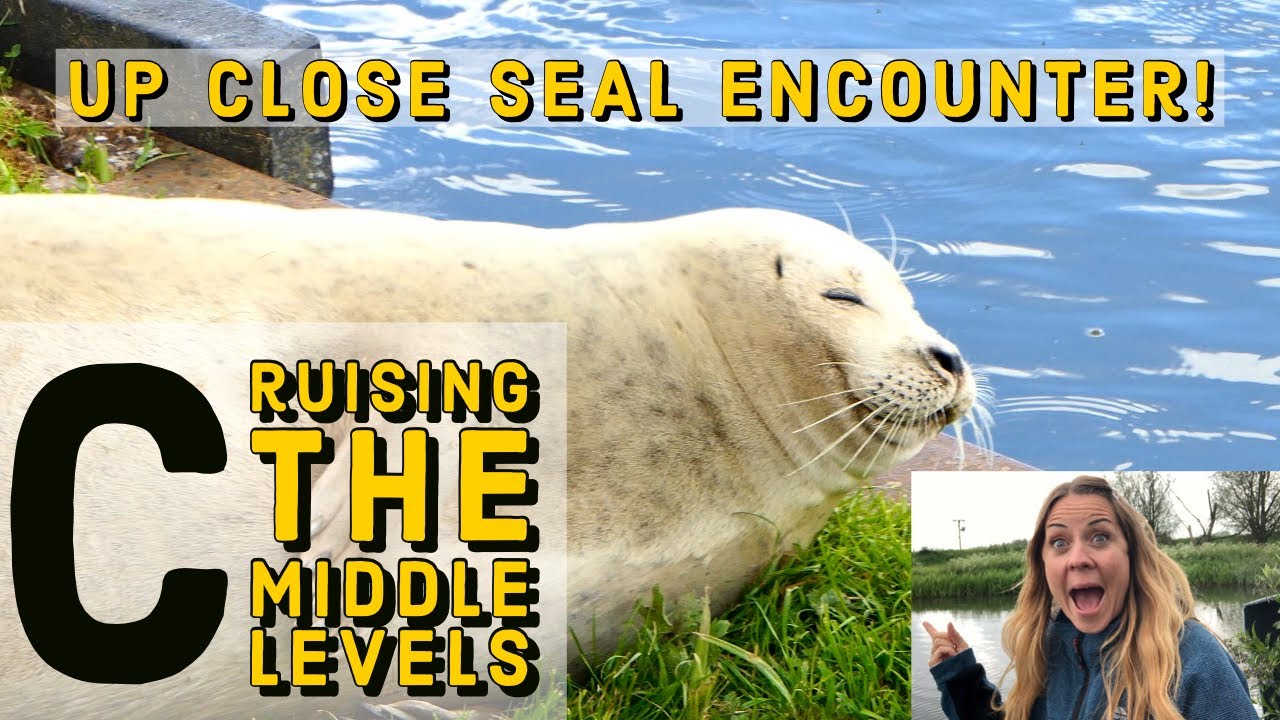 # 56 Up Close Seal Encounter- Cruising the Middle Levels!