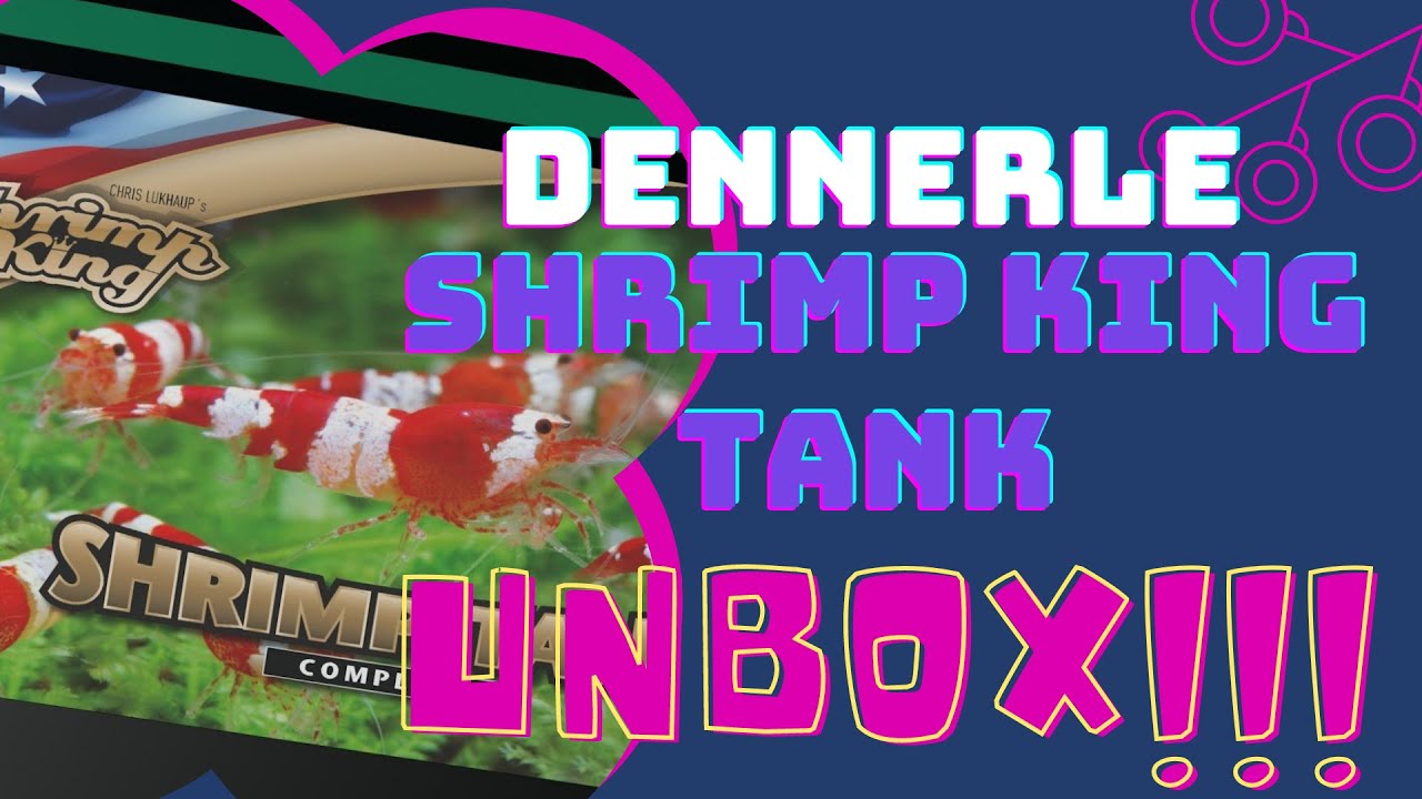 Unboxing the New Dennerle 10 Shrimp King Tank